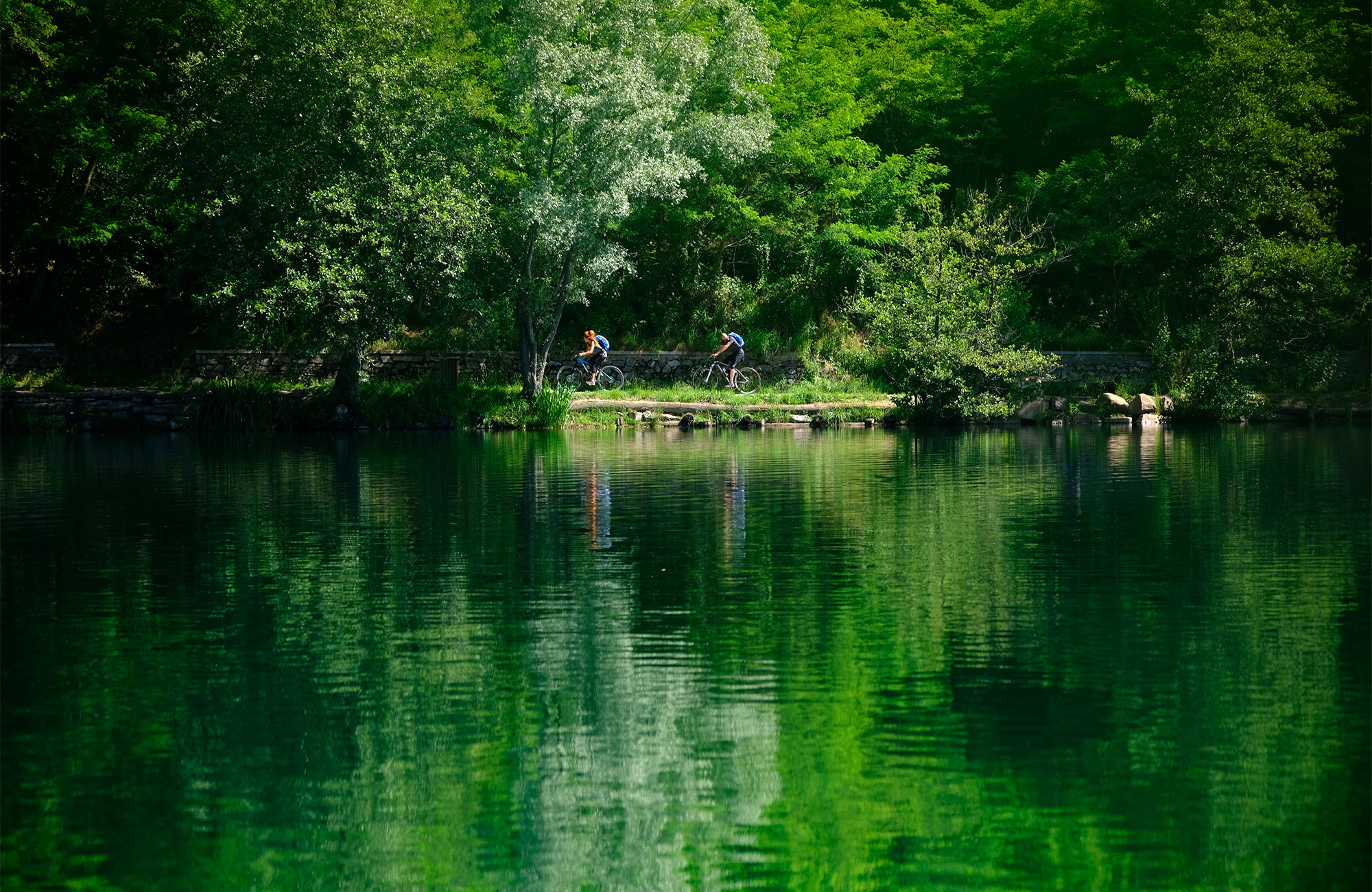Ciclisti lungo il Lago di Levico, immersi nella natura verde nei dintorni del Parc Hotel Du Lac